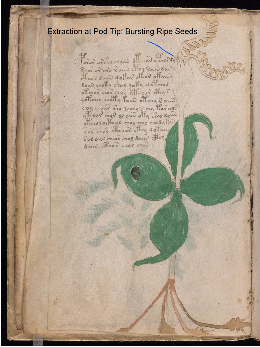 Labelled diagram of Folio 15v